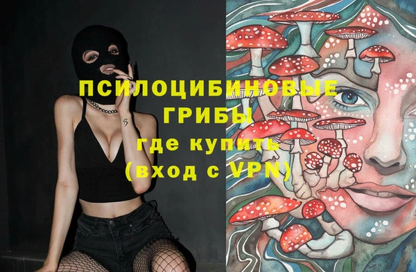 ECSTASY Пересвет