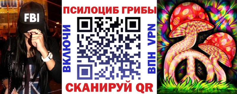 купить  сайты  Горячий Ключ  Псилоцибиновые грибы GOLDEN TEACHER 